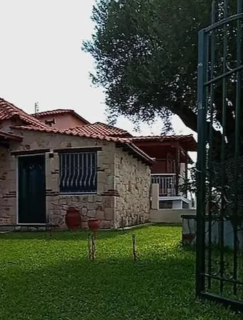 בית נופש Olive Tree נאה פוטידאה