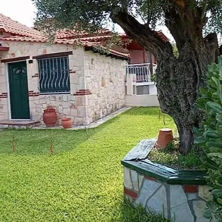 בית נופש Olive Tree *