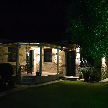 Olive Tree * נאה פוטידאה