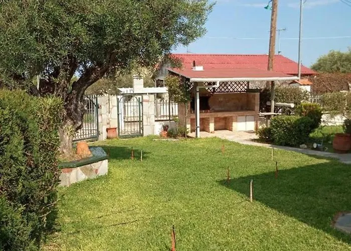 Olive Tree Неа-Потидеа